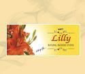 Lilly Agarbatti