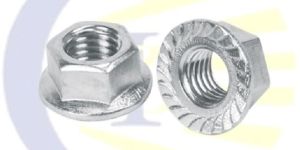 Stainless Steel Flange Nut (SS Flange Nut)
