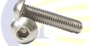 Stainless Steel Button Head Screw