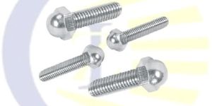 Stainless Steel Dom Bolt