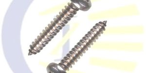 Stainless Steel Pan Phillips Screws, Pan Head Self Tapping Screws