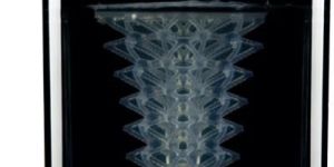 Form Wash Automatic Cleaner