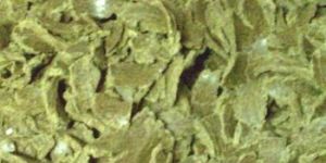 Cotton Seed Oil Cake