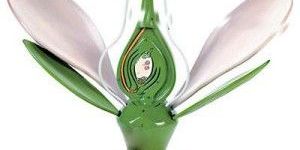 Typical Flower Model