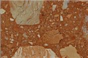Terracotta Colored Stone Marble