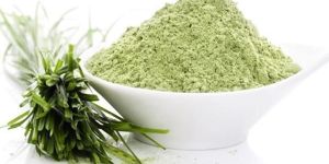 Wheat Grass Powder