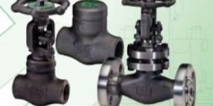 Forged Steel, Globe Check Valve