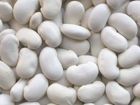 White Kidney Beans