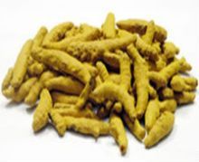 Salem Turmeric