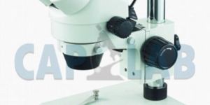 Zoom Stereo Microscope