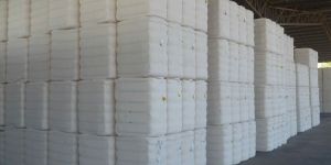 Row Cotton Bales