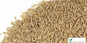 Cumin Seed
