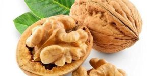 Shelled Walnuts