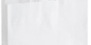 Garment Paper Bags