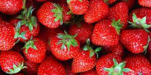 Fresh Strawberries