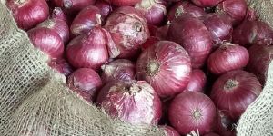 Red Onions