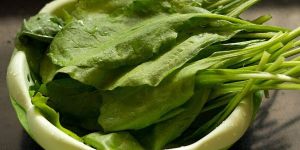 Fresh Spinach Leaves