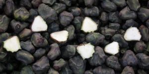 Fresh Water Chestnuts