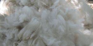 Soft White Fiber