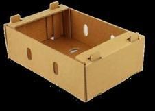 Corrugated Fruit Packaging Box