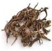 Dried Akarkara Roots