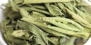 Stevia Leaf