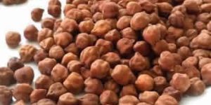 Chick Peas Brown