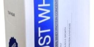 Assorted Flavors Must Whey Protein Powder