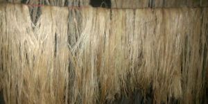 Jute Fiber