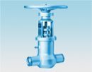 Shut off Gate Valves