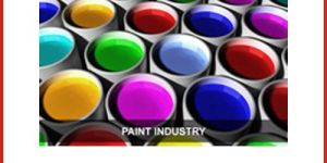 Pulley for Paint Industry