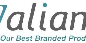 Business Support Services