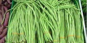 Green Beans