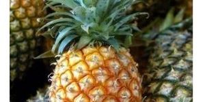 Fresh Pineapple