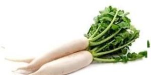 Radish