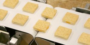 Food Grade Conveyor Belts