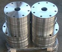 Stainless Steel Flanges
