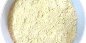 Fresh Chana Sattu Powder