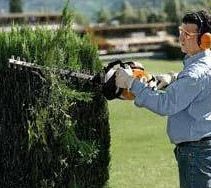 Hedge Trimmer