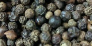 Black Pepper