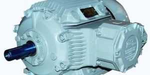 Flame Proof Motors