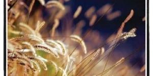 Motorized Projector Screen