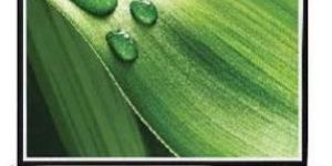 Tripod Projection Screen