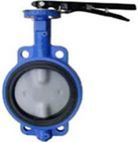 Butterfly Valve