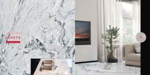 Viscon White Granite