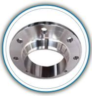 Titanium Flanges