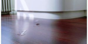 Waterproof Wooden Flooring