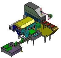 Two Head Aril System
