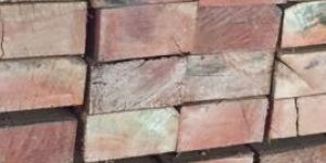 Sawn Timber