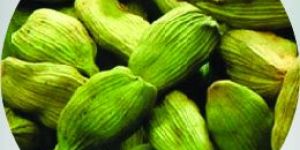 Instant Cardamom Tea Premix